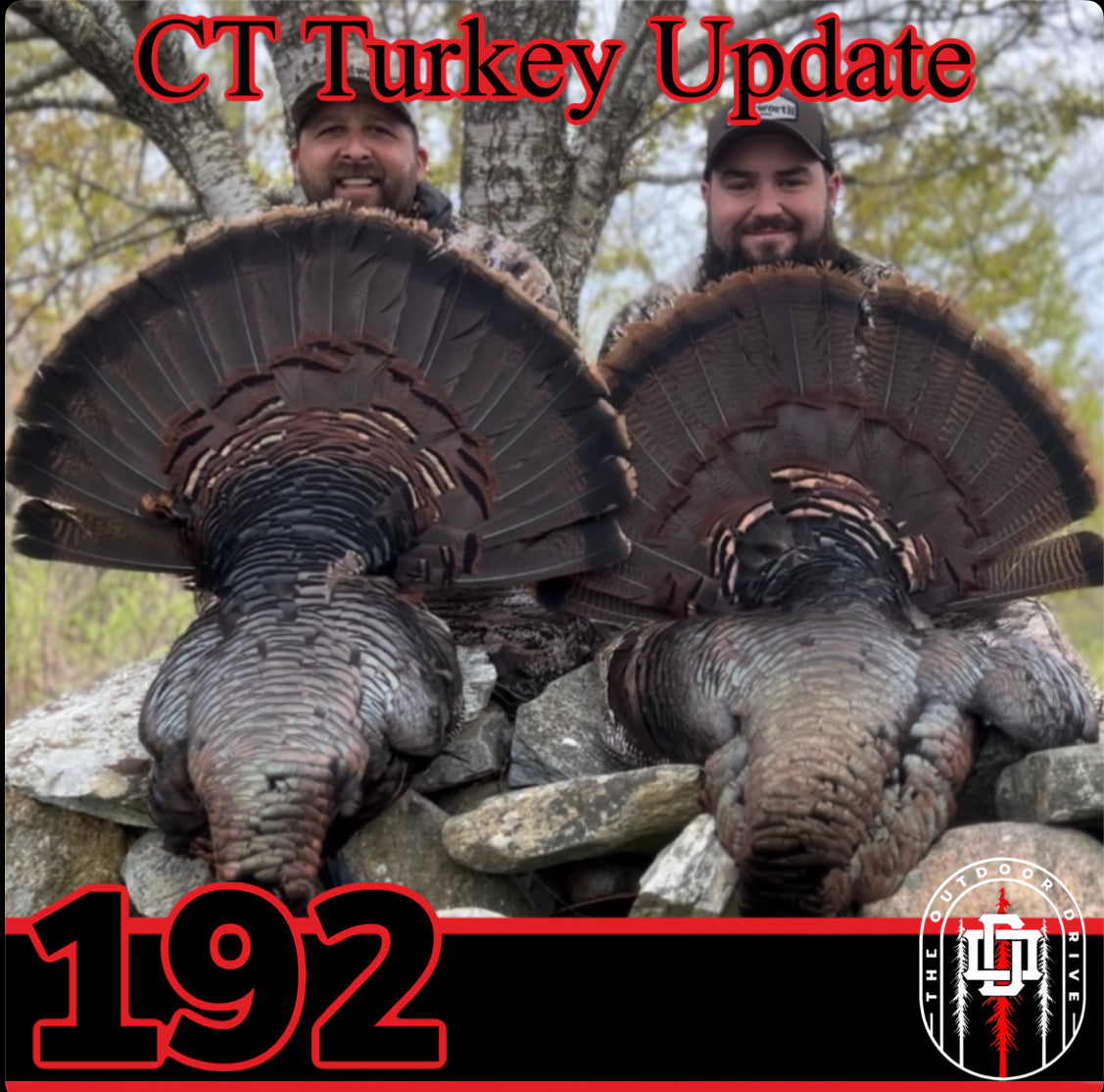 2023 Connecticut Turkey Season Update Outdoor Drive Podcast